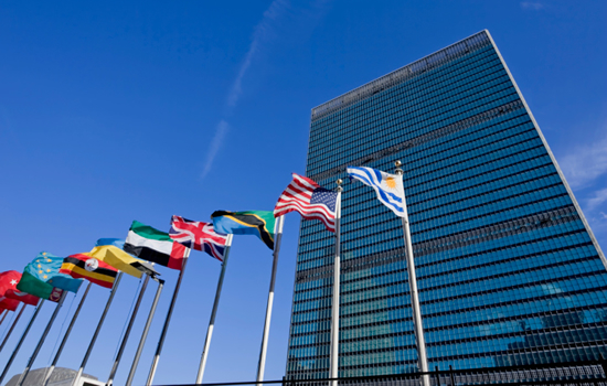 Photo of Humanitarian